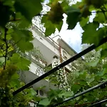 Barbov 2* Obzor