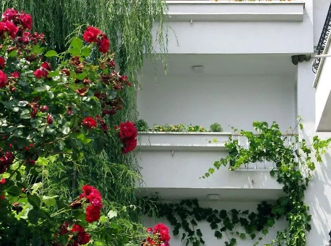 Pensiune Barbov Obzor