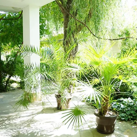 Guest house Barbov