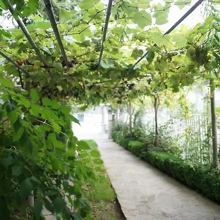 Barbov بيت ضيافة 2*