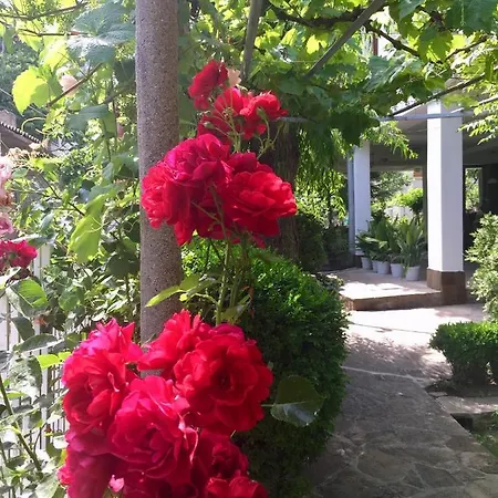 Barbov Guest house 2*