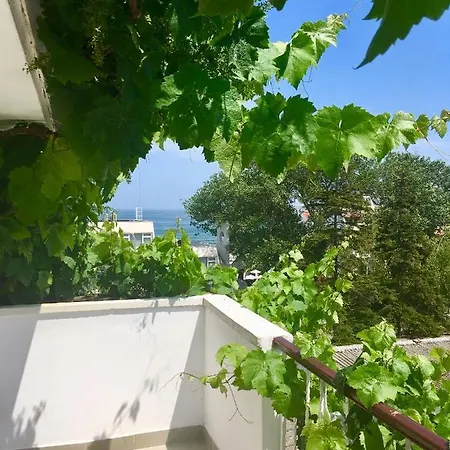 Guest house Barbov Obzor