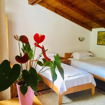 Guest house Barbov Obzor