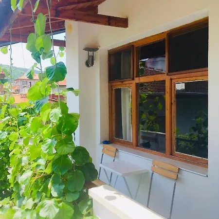 Barbov Guest house Obzor