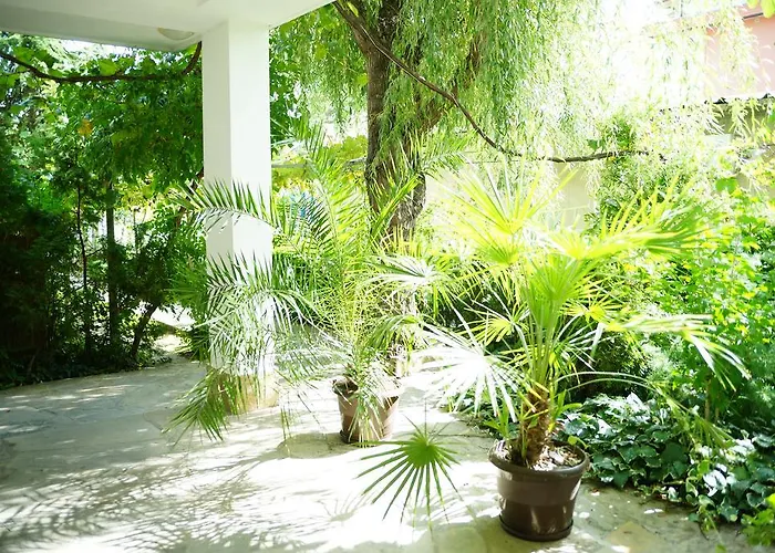 Casa de hóspedes Barbov