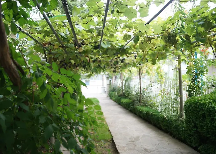 Barbov Casa de hóspedes 2*