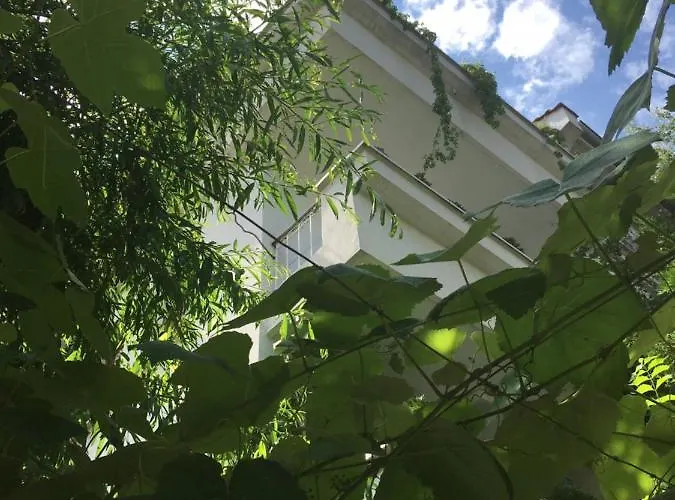 Barbov Casa de hóspedes